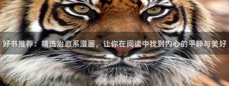 omofun正版官网下载：好书推荐：精选治愈系漫画，让你在阅读中找到内心的平静与美好
