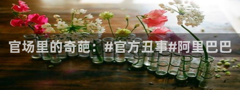 omofun动漫王国：官场里的奇葩：#官方丑事#阿里巴巴