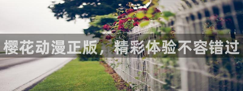 omofun动漫下载最新：樱花动漫正版，精彩体验不容错过