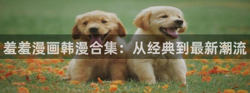 omofun安全下载：羞羞漫画韩漫合集：从经典到最新潮流