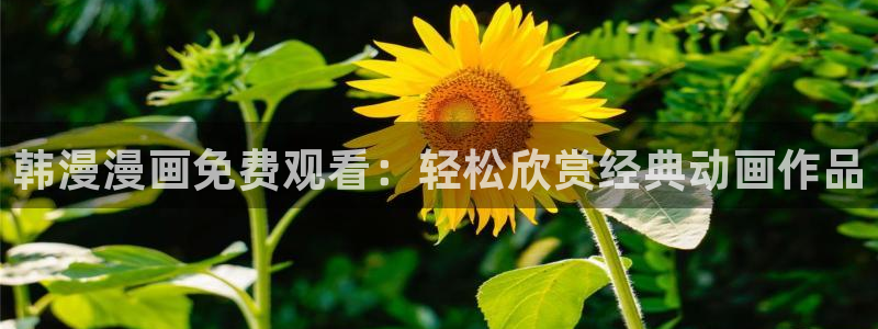 歪歪漫画正版：韩漫漫画免费观看：轻松欣赏经典动画作品