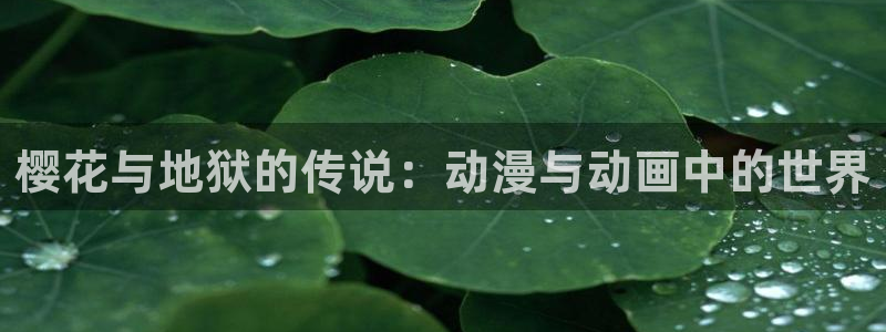 omofun动漫动漫：樱花与地狱的传说：动漫与动画中的世界