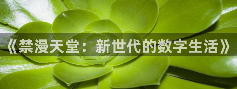 omofun免费看动漫：《禁漫天堂：新世代的数字生活》