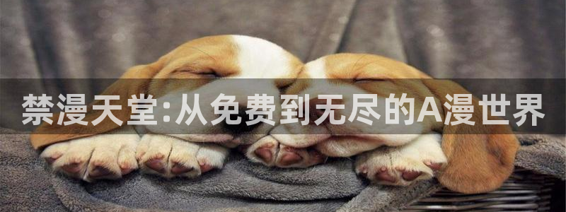 omofun安全下载：禁漫天堂:从免费到无尽的A漫世界