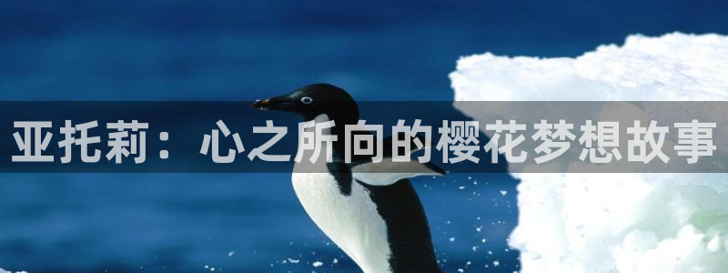 omofun正版官方链接：亚托莉：心之所向的樱花梦想故事