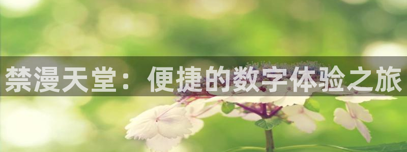 omofun 在线观看：禁漫天堂：便捷的数字体验之旅