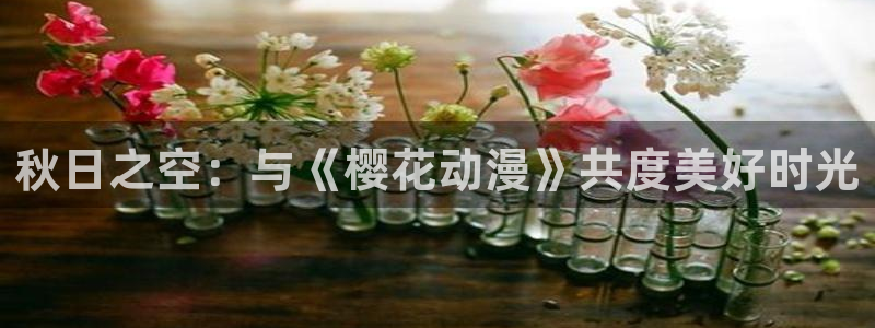 omofun苹果：秋日之空：与《樱花动漫》共度美好时光