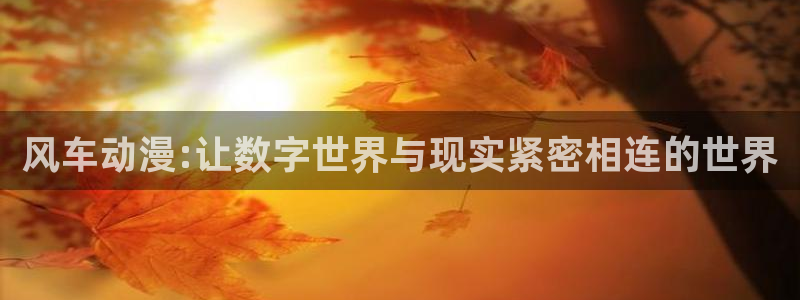 omofun是什么：风车动漫:让数字世界与现实紧密相连的世界